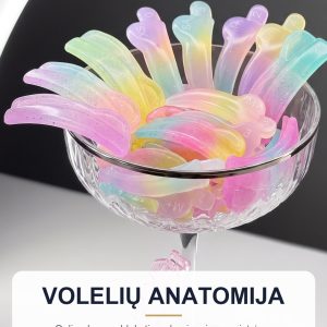 Online kursas „Volelių anatomija“