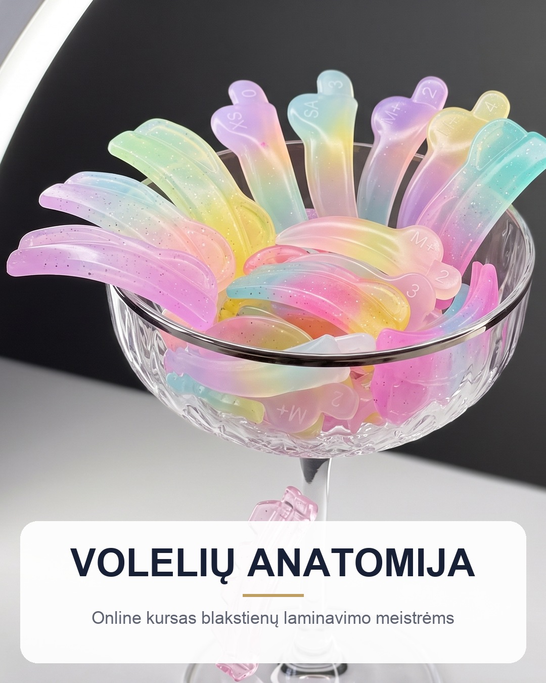 Online kursas „Volelių anatomija“